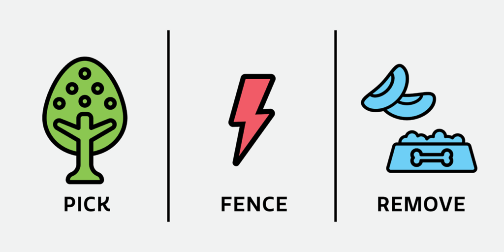 Pick, remove and install electric fencing around attractants. 