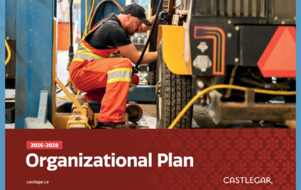 Organizational Plan (2026-2028)